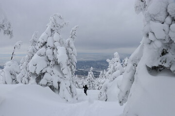 スノーモンスター、山形県、蔵王（樹氷）