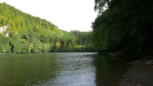 Rural Azores.  Along the banks of the Lagoon Congro with trees