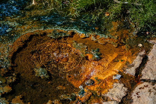 Nature reserve Soos in Western Bohemia, Czech Republic, vast peat bogs with lakes, mineral springs and gaseous carbon dioxide springs, nature trail with meandering wooden walkways at summer sunny day