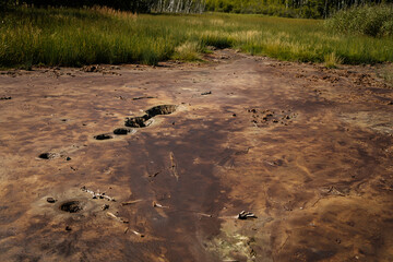 Nature reserve Soos in Western Bohemia, Czech Republic, vast peat bogs with lakes, mineral springs...