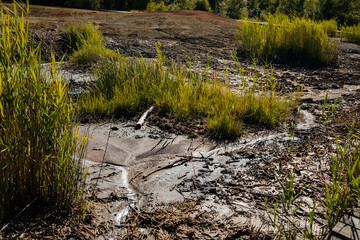 Nature reserve Soos in Western Bohemia, Czech Republic, vast peat bogs with lakes, mineral springs...