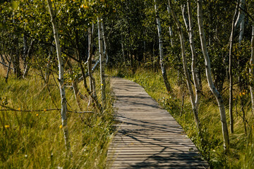 Nature reserve Soos in Western Bohemia, Czech Republic, vast peat bogs with lakes, mineral springs...
