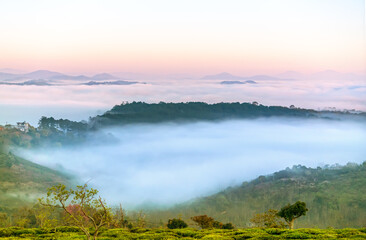 New morning scene on top hill looking down with fog covering valley and peaceful sunrise sky background in Da Lat highland, Vietnam