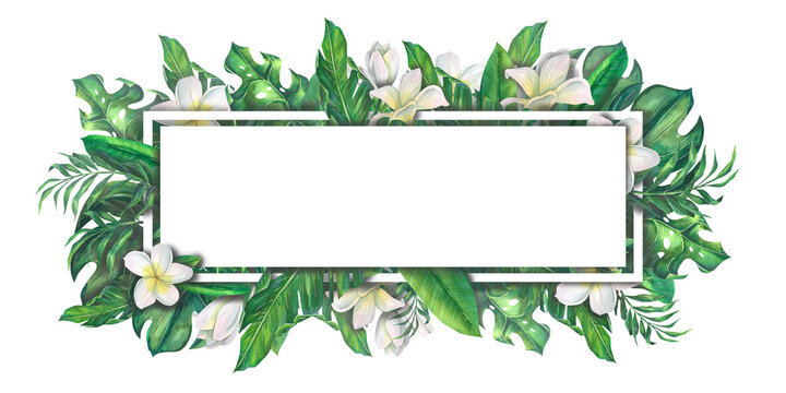 Watercolor illustration banner frame tropical leaves and plumeria flowers. Three-dimensional on a white background. Bright and juicy, summer and beach. For invitations, postcards, banners