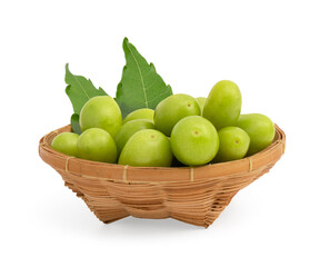 Neem or azadirachta indica leaf and fruits isolated on white background with clipping path.