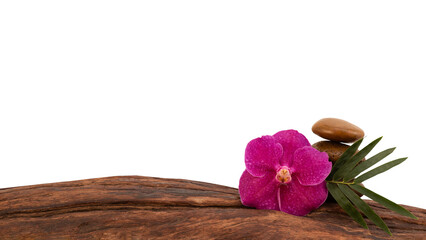 Zen stone and orchid isolated on background with clipping path.