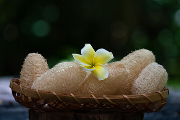 Loofahs and plumeria flower on nature background.