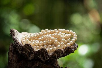 Pearls on shell and on nature background.