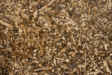 Tree bark brown large texture, mulch, bio , Concept wallpaper, postcard, closeup . High quality photo