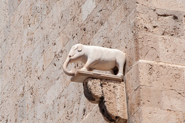 wall with a elefant in the sun