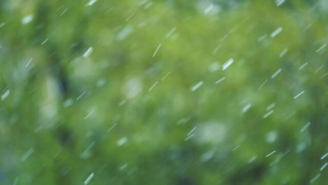 Flocons de neige au ralenti