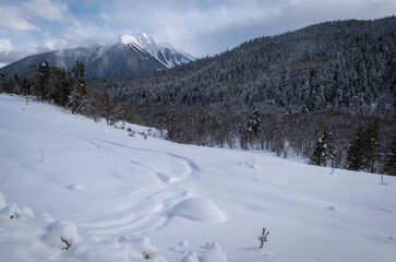 Arkhyz mountains and winter forest. Russia. Karachay- Cherkessia.	