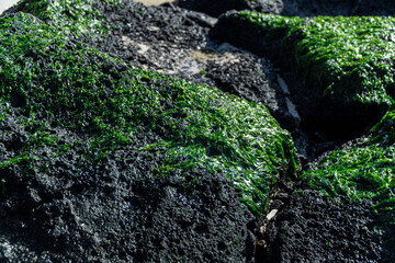 제주도 바다 풍경