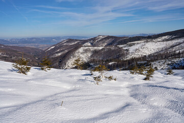 Snowy lea at Silesian Beskid on european Bialy Krzyz in Poland