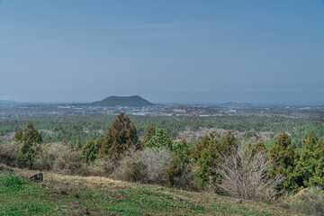 제주도 오름 풍경