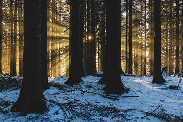 Rays of the sun © Katarzyna