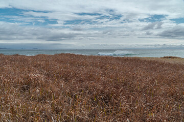 제주도 바다 풍경