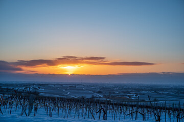 sunrise in snow over the vineyards