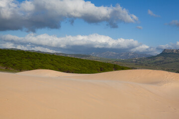 Fototapeta na wymiar Dunes in Bolonia, Andalusia, Spain.