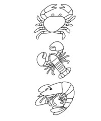Seafood illustration set. Crab, lobster, shrimp for seafood shop and restaurant menu design.