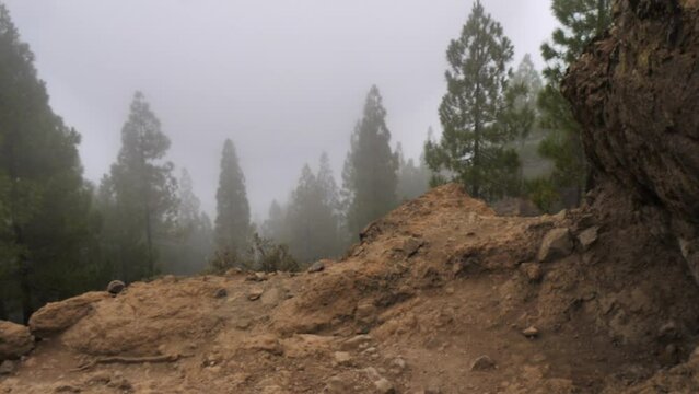 Roque Nublo a volcanic rock in caldera of Tejeda, Gran Canaria. Nature of Gran Canaria island. View from Roque Nublo's point. Tenerife island in the background. Spain. 