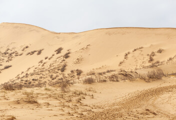 Fototapeta na wymiar Sarykum dune. Dagestan, Russia. A unique sandy mountain in the Caucasus on a cloudy day. Grass grows on a sand dune.