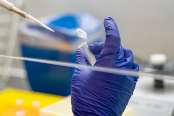 Scientist pipetting sample into vial for DNA testing. scientist loads samples DNA amplification by...