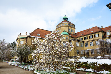 Botanischer Garten in München im April