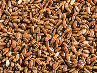 Brown rice - whole grain rice with outer hull or husk. Close-up.