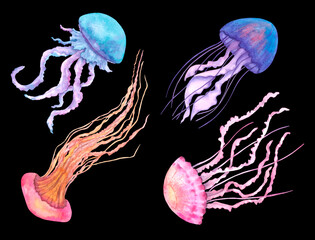 Set of colorful jellyfish isolated on a black background. Hand-drawn watercolor illustration.