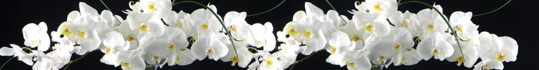 Gordijnen white orchids on black © Michael