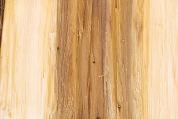 Naklejka premium Close up shot of split wood texture background - good for design