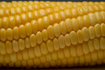 Close up of the fresh corn