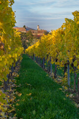 Naklejka premium Kloster Heilsbruck im Herbst