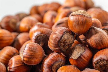 Hazelnuts in the shell. Round filbert, ripe fruit of a Corylus avellana hazel shrubs.