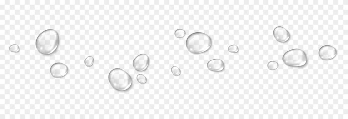Vector water drops. PNG drops, condensation on the window, on the surface. Realistic drops on an isolated transparent background. - obrazy, fototapety, plakaty