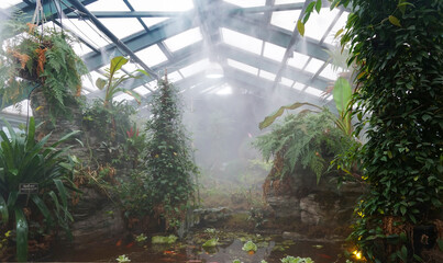 Automatic watering in a tropical greenhouse by sprinkling. Wet mist. Irrigation together with climate control system. The tablet says "vriesia hieroglyphics".