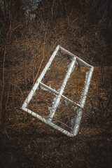 a broken window in a white frame lies in the bushes after the ex
