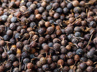 cubeb tailed pepper macro background. Piper cubeba top view, close up. The most fragrant of all...