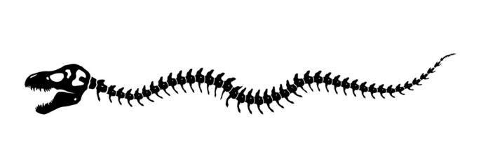 Dinosaur skeleton crawling decoration single element on white