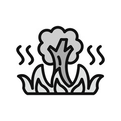 Wildfire Icon