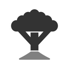 Socotra Tree Icon