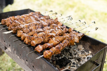 Barbecue pork skewers grilled on a row of charcoal grills, kapok beef.