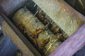 A man turns a homemade device for extracting cedar nuts from Siberian pine cones.
