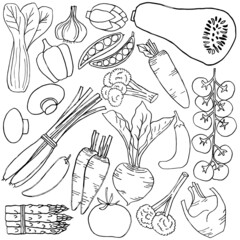 Hand drawn vegetable set in doodle art style on white background