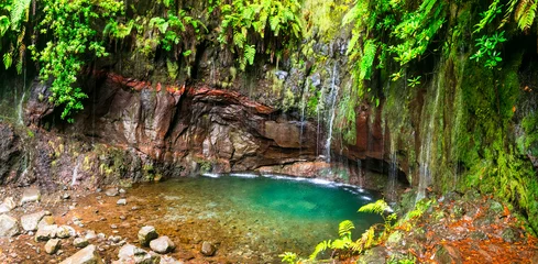 Poster Nature of Madeira island. Popular touristic walk (hike) in levada 25 fontes, with beautiful waterfalls © Freesurf