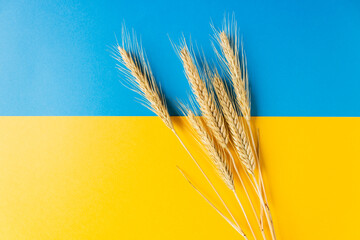 Ears of wheat on the national flag of independence Ukraine. Freedom blue and energizing yellow...