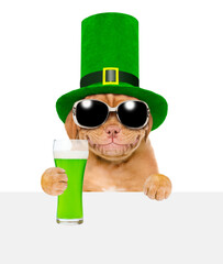 St. Patricks Day. Funny puppy wearing hat of the leprechaun holds green beer above empty white...