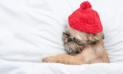 Fototapeta na wymiar Funny Brussels Griffon puppy wearing warm hat sleeps on a bed at home with red heart. Top down view. Empty space for text