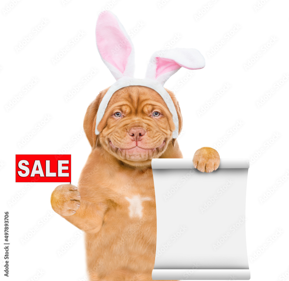 Poster Smiling puppy wearing easter rabbits ears holds empty list and sales symbol. Isolated on white background